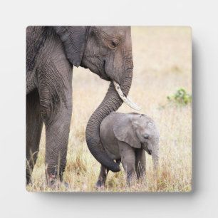 Placa Expositora Amor maternal