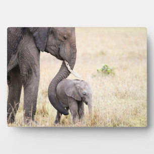 Placa Expositora Amor maternal