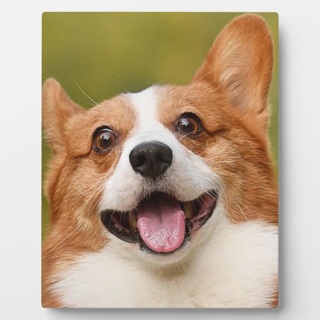 Placa Expositora Añadir foto de perro personalizada (Frente)