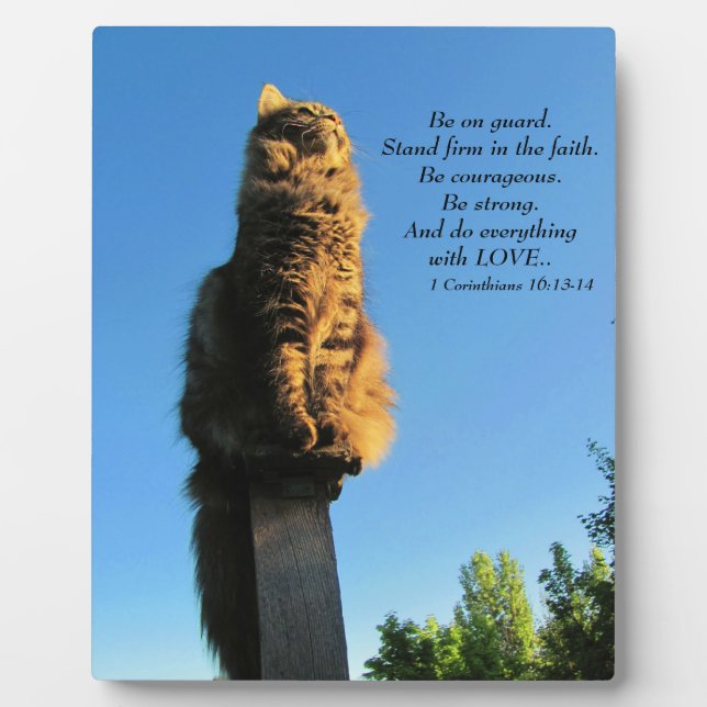 Placa Expositora Ángel en guardia. (Frente)