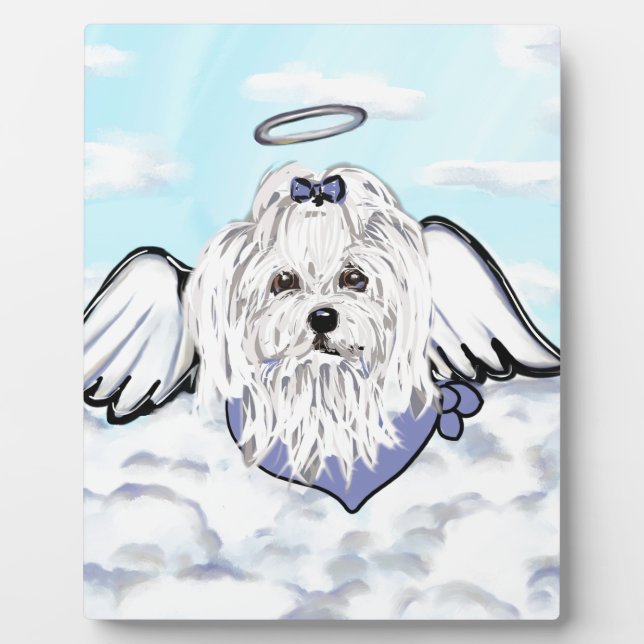 Placa Expositora Ángel maltés (Frente)