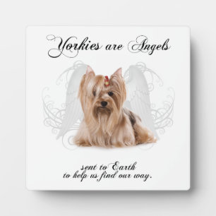 Placa Expositora Angel Yorkie Plaque