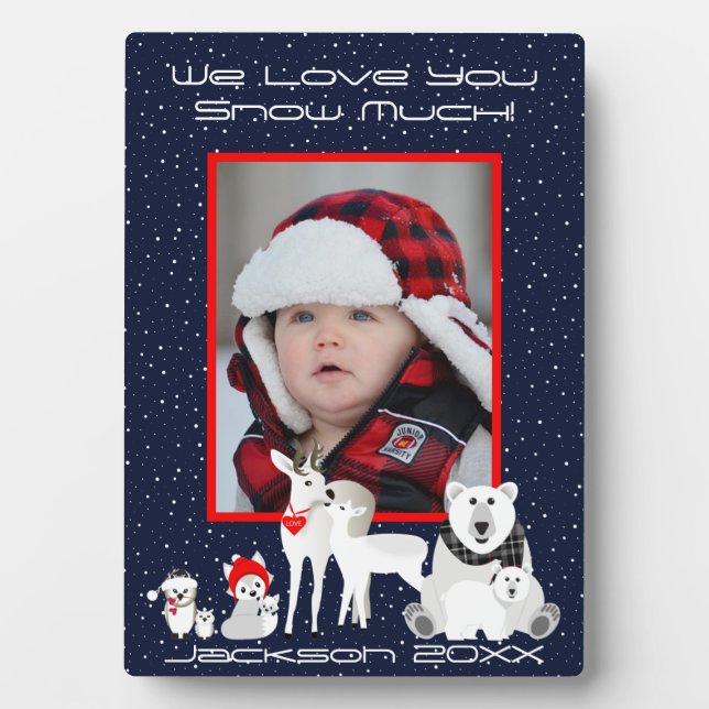 Placa Expositora Animales del Ártico (Frente)