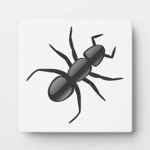 Placa Expositora Ant