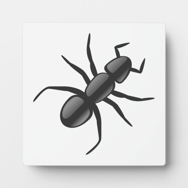 Placa Expositora Ant (Frente)