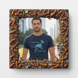 Placa Expositora ant frame