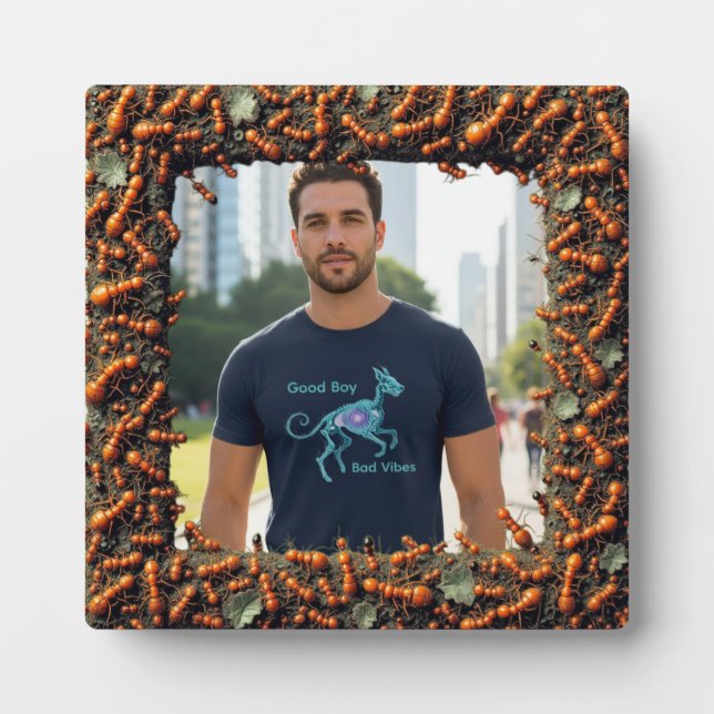 Placa Expositora ant frame (Frente)