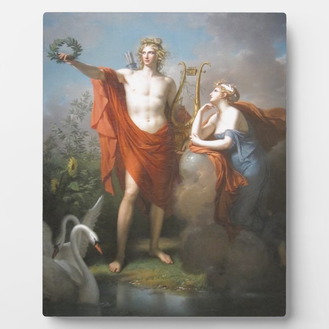 Placa Expositora apollo y musgos (Frente)