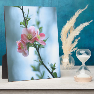 Placa Expositora Apple Blossom #P0365 Plaque