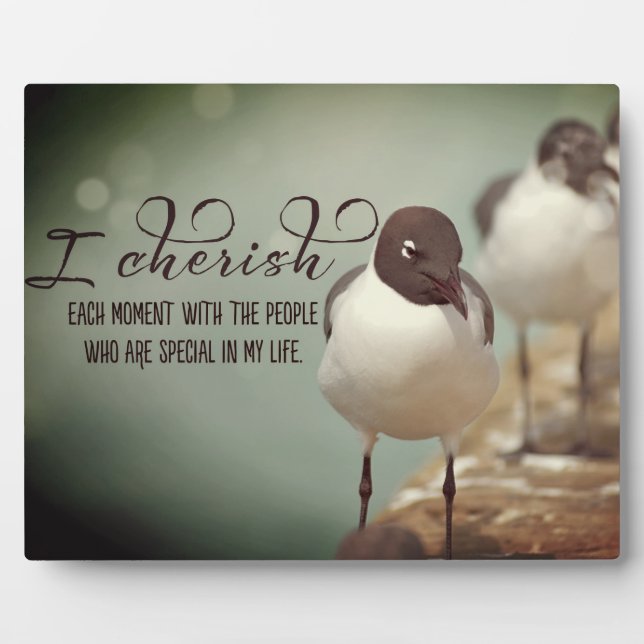 Placa Expositora Apreciar cada momento (Frente)