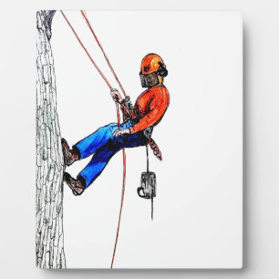 Placa Expositora Árbitro de cirujano