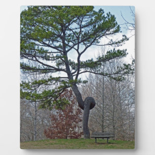 Placa Expositora Árbol con dos caras