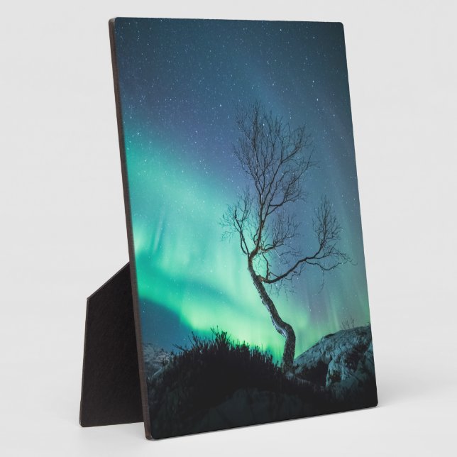 Placa Expositora Árbol de luces boreales (Lado)