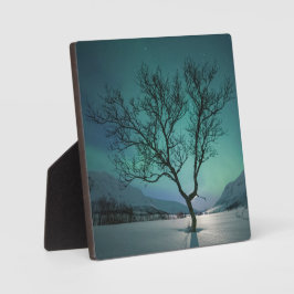 Placa Expositora Árbol de luces boreales