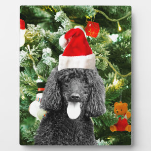Placa Expositora Árbol de Navidad de perro caniche Snowman Red Sant
