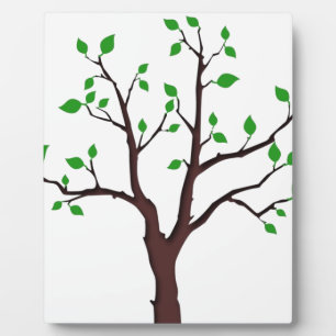 Placa Expositora Árbol de vida