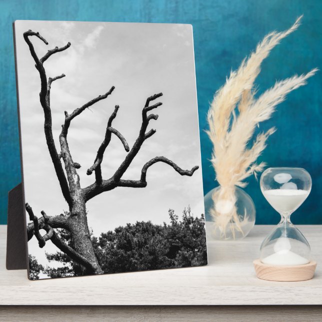 Placa Expositora árbol libre (Lado)