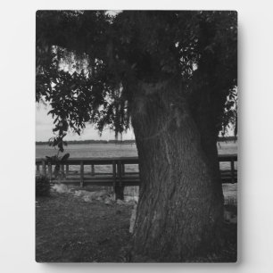 Placa Expositora Árbol y pavo junto al agua