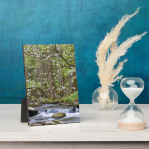 Placa Expositora Árboles Dogwood Gran Montaña Smoky, Tennessee