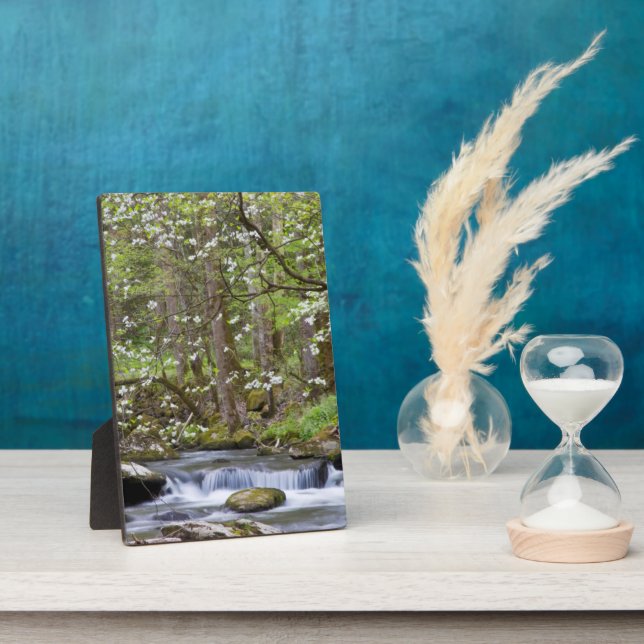 Placa Expositora Árboles Dogwood | Gran Montaña Smoky, Tennessee (Lado)