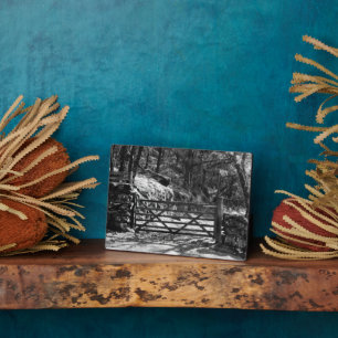 PLACA EXPOSITORA ÁRBOLES Y PUERTA NEGROS Y BLANCOS