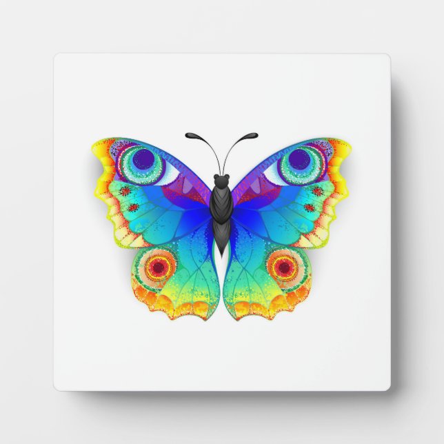 Placa Expositora Arcoiris mariposa Peacock Eye (Frente)