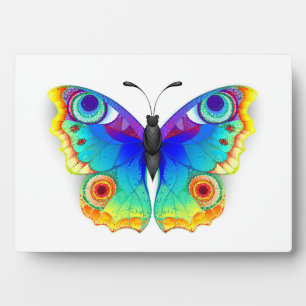 Placa Expositora Arcoiris mariposa Peacock Eye