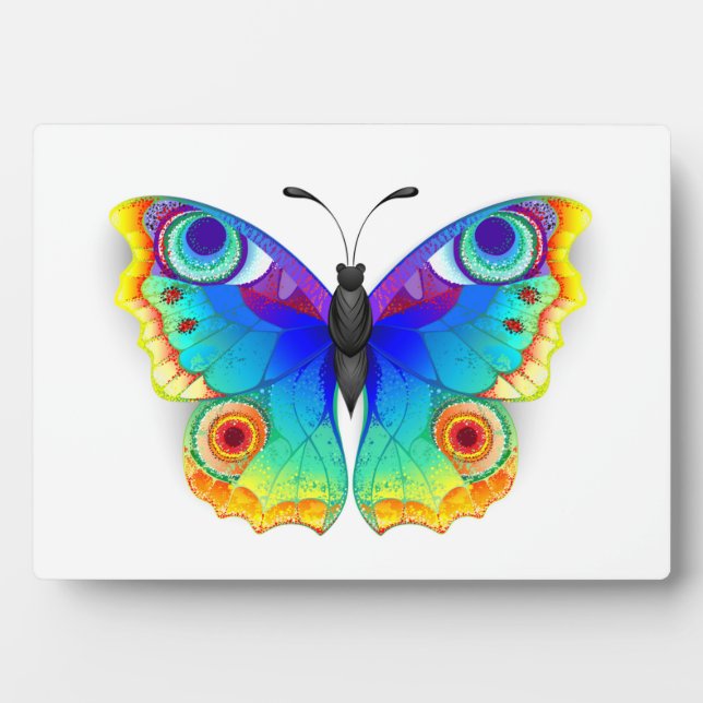 Placa Expositora Arcoiris mariposa Peacock Eye (Frente)
