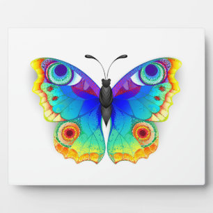 Placa Expositora Arcoiris mariposa Peacock Eye