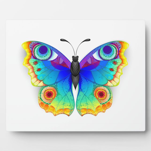 Placa Expositora Arcoiris mariposa Peacock Eye (Frente)