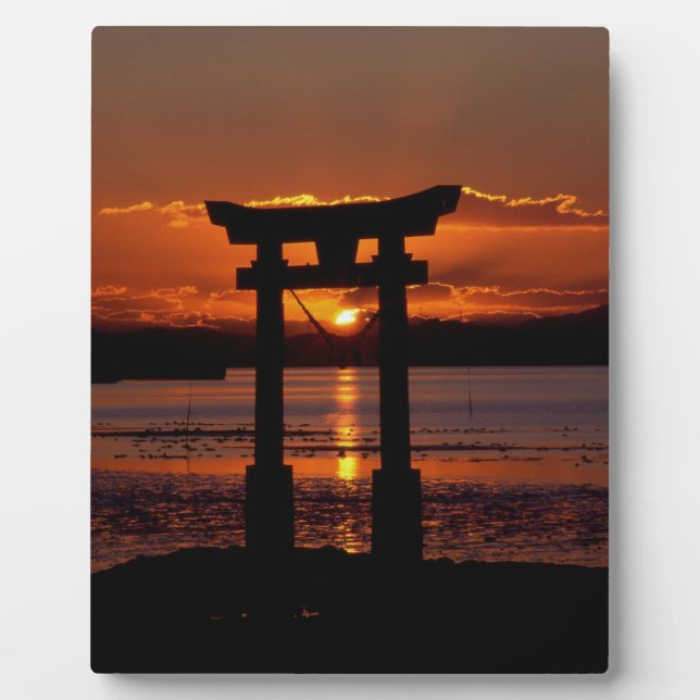 Placa Expositora Arena japonesa Nagao (Frente)