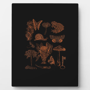 Placa Expositora Arte botánico, hongos de rana estética Goblincore