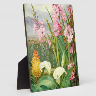Placa Expositora Arte botánico: Las bellezas del pantano