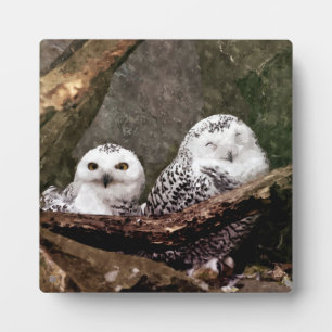 Placa Expositora Arte de vida silvestre del bosque de pareja de búh