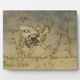 Placa Expositora Arthur Rackham Hada, ilustracion de A Midsu