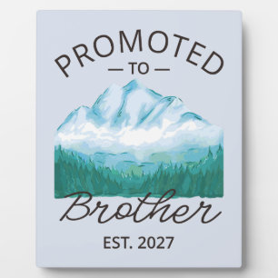 Placa Expositora Ascendido a Hermano Est 2027 Big Brother VI