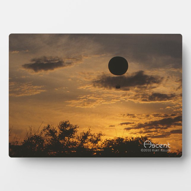 Placa Expositora Ascenso (Frente)