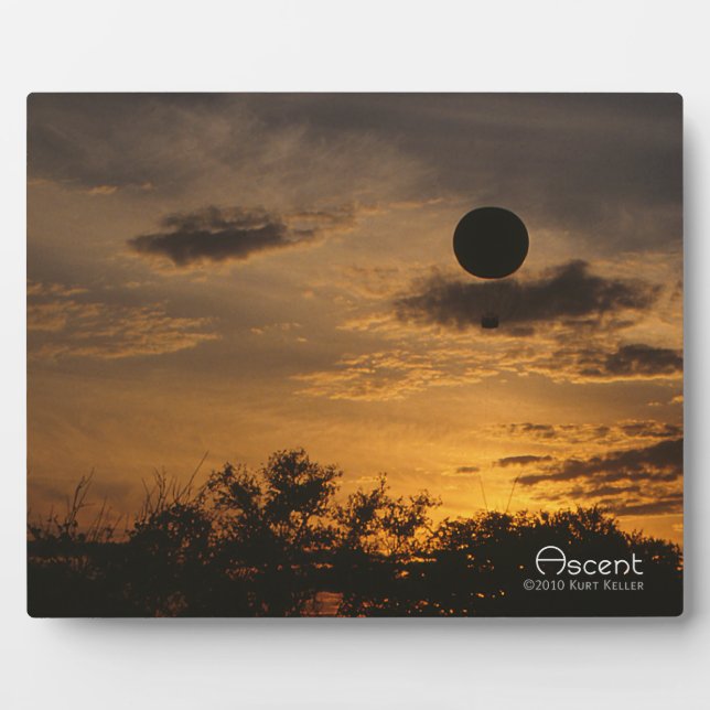 Placa Expositora Ascenso (Frente)