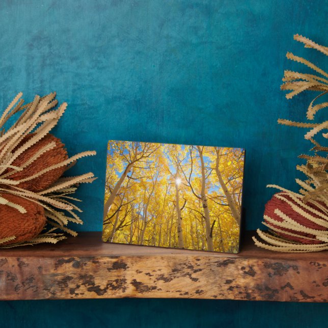 Placa Expositora Aspen Trees | Sierra Nevada, CA (Lado)