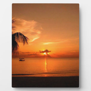 Placa Expositora Atardecer de Verano