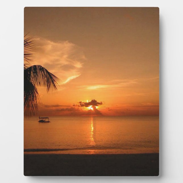 Placa Expositora Atardecer de Verano (Frente)