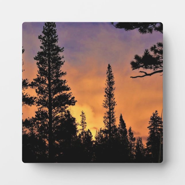 Placa Expositora Atardecer en Tuolumne Meadows, Yosemite, CA (Frente)