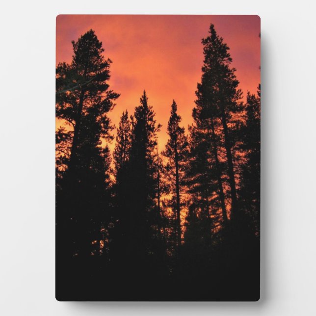 Placa Expositora Atardecer en Tuolumne Meadows, Yosemite, CA (Frente)