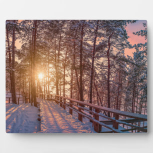 Placa Expositora Atardecer en un bosque de pinos nevado con rayos s