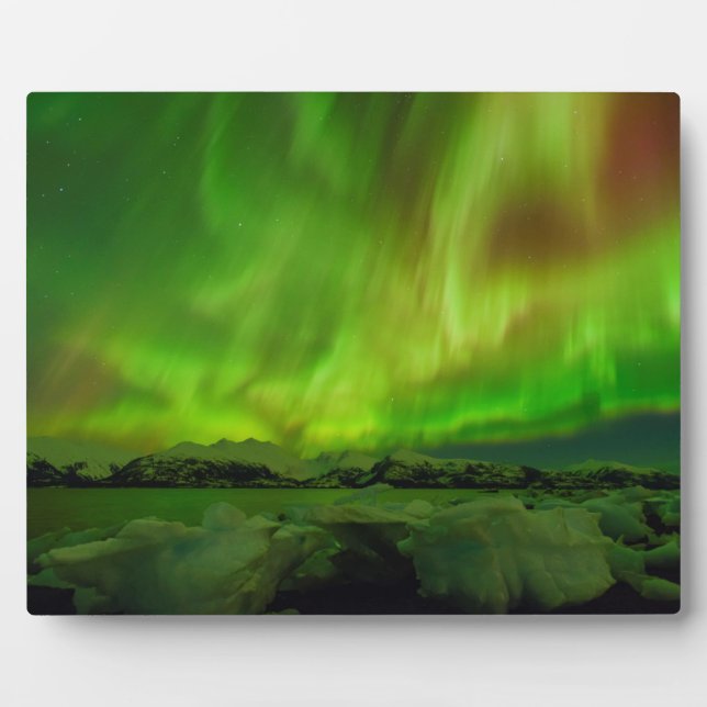 Placa Expositora Aurora asombrosa (Frente)