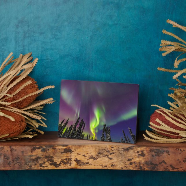 Placa Expositora Aurora Borealis | Fairbanks, Alaska (Lado)