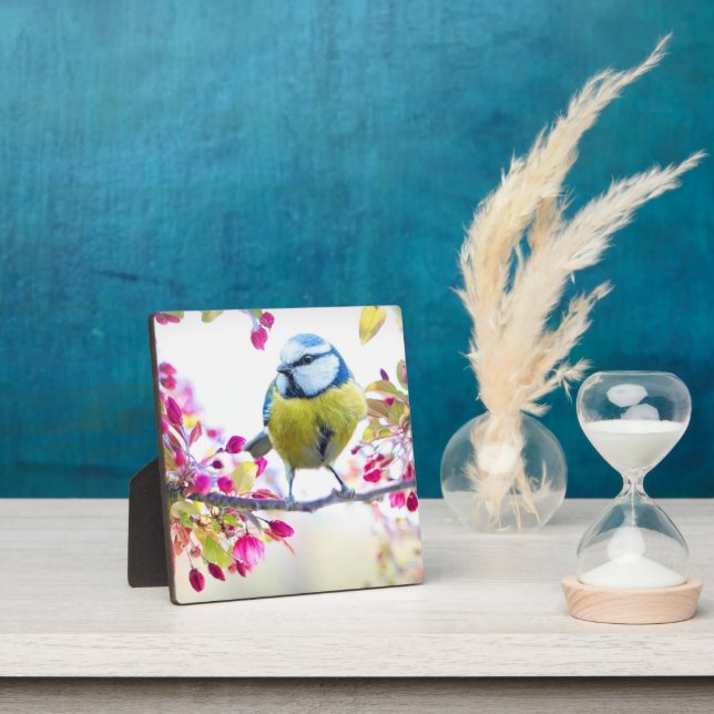 Placa Expositora Ave azul y amarillo bonito en una foto de una sucu (in situ)