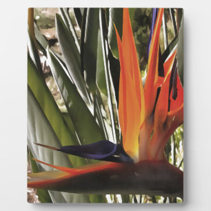 Placa Expositora Ave del Paraíso Strelitzia Reginae Acrílico Painti