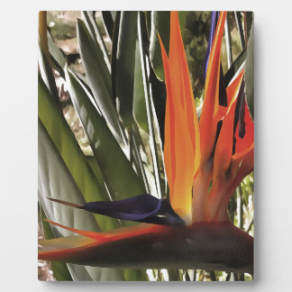 Placa Expositora Ave del Paraíso Strelitzia Reginae Acrílico Painti