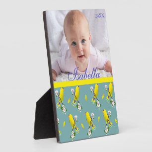 Placa Expositora Aves